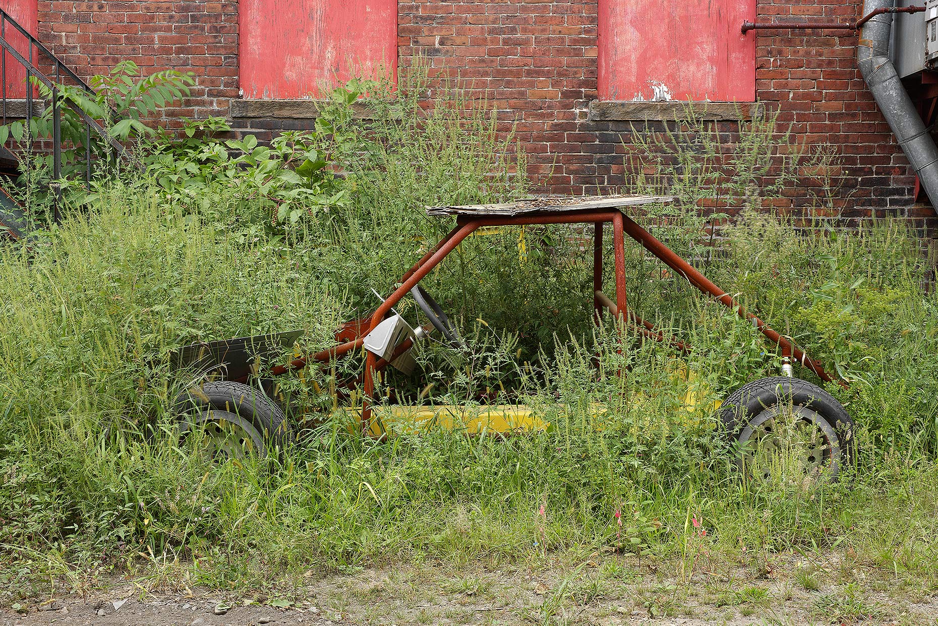 car-in-weeds