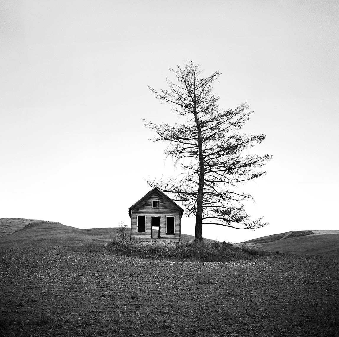desolation-house