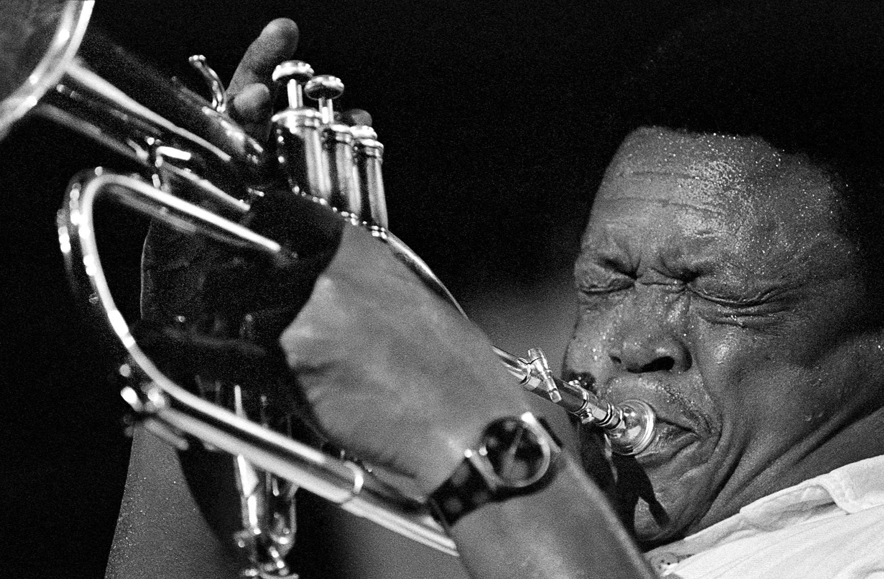 trumpet_01.jpg